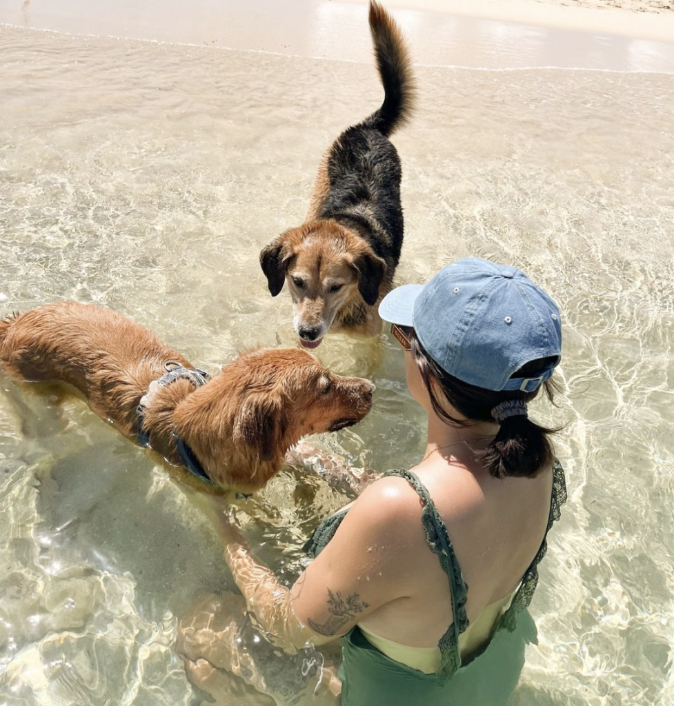 Victoria Henno communicatrice Victoria Henno baignade avec ses chiens