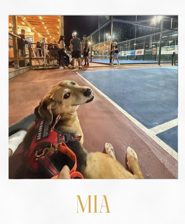 Mia chien d'assistance